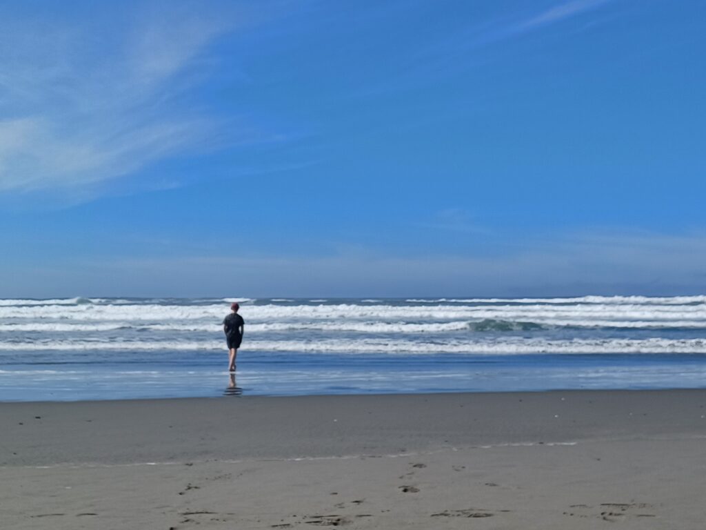 Beach in northern California