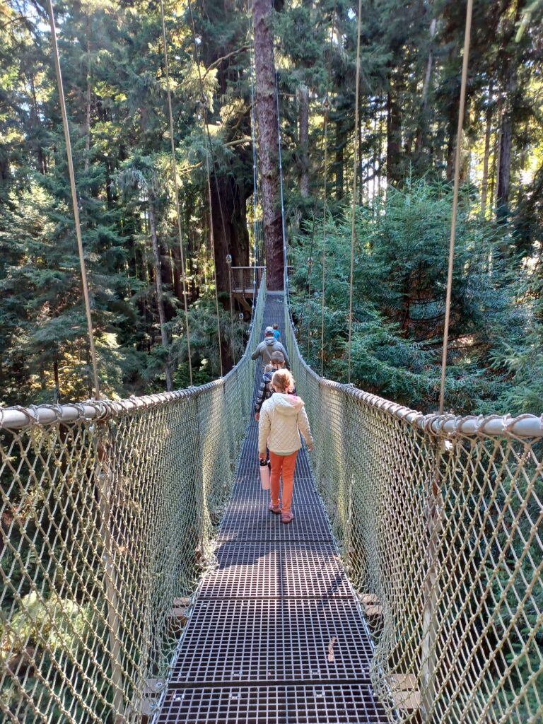 walking the swaying bridge on a family trip to the redwoods